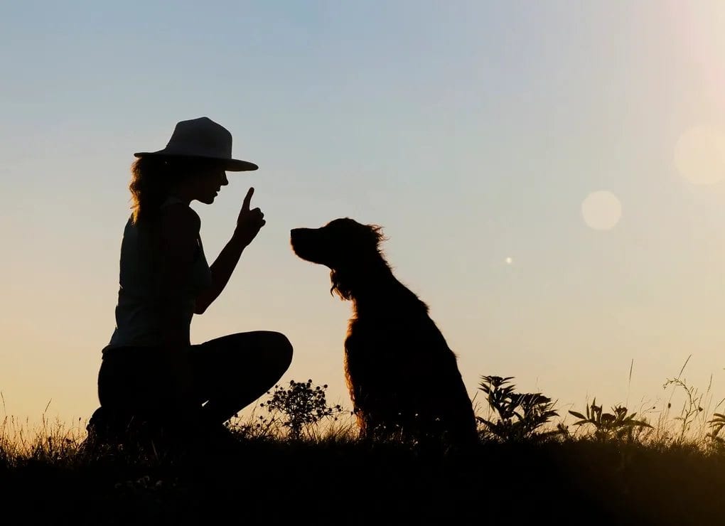 How great would it be if all you. had to do was use hand signs w/ your dog/s.